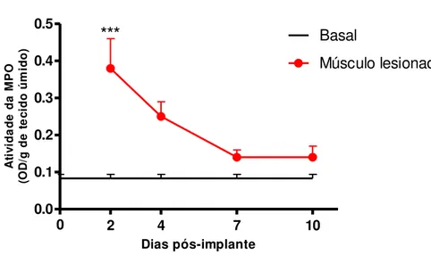 Figura 10. Cinética da atividade da enzima MPO na musculatura abdominal esquelética de camundongos  adjacente  a  implantes  de  esponja  e  musculatura  abdominal  esquelética  de  camundongos  não  implantados  (basal)