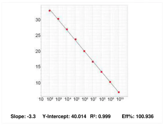 Figura 2: Curva padrão gerada por diluições seriadas (10 2  a 10 10 ) e eficiência  de amplificação ( Eff%)  de aproximadamente 100% do gene alvo de C