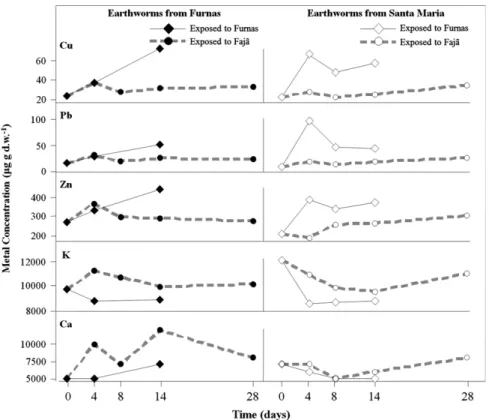 Fig. 2. Concentrations of metals ( m g element g of dry weight 1 ) measured by HR-ICP/MS in tissues of Amynthas gracilis collected in Furnas, S