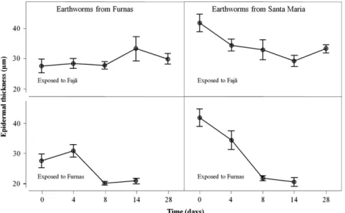 Fig. 4. The epidermal thickness ( m m) variation with time (days) and respective standard error bars in Amynthas gracilis collected in Furnas, S