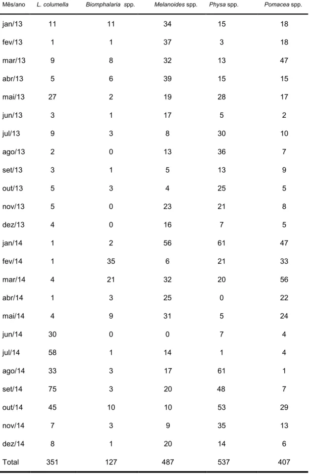 TABELA  1.  Variação  mensal  das populações  de  gastrópodes  coletados em 3 