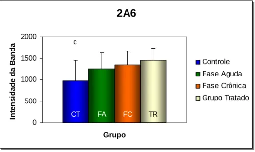 FIGURA  6  -  Expressão  dos  níveis  de  CYP2A6  no  sistema 