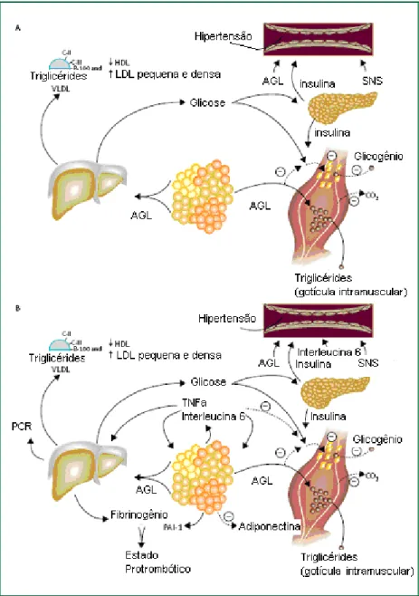 FIGURA 1 - Fisiopatologia da resistência à insulina 