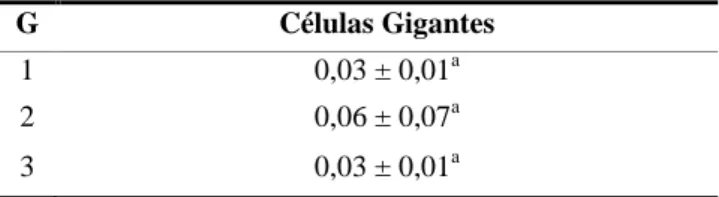 Tabela  7:  Proporções  volumétricas  dos  vasos  do  placentomo  da  vaca  dos  terços  inicial  (G1),  médio  (G2)  e  final (G3) da gestação