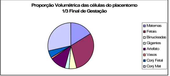 Gráfico  7:  Proporções  volumétricas  dos  componentes  estruturais  do  placentomo:  células  maternas, células fetais, células binucleadas, células gigantes, vasos, tecido conjuntivo fetal e  materno e artefatos no terço final da gestação da vaca