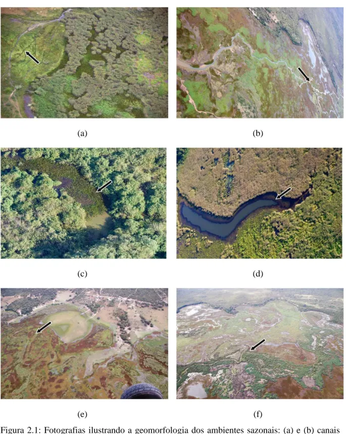 Figura  2.1:  Fotografias  ilustrando  a  geomorfologia dos  ambientes  sazonais:  (a)  e  (b)  canais  anastomosados,  (c)  e  (d)  lagoas  em  forma  de  meia  lua,  (e)  e  (f)  meandros  abandonados