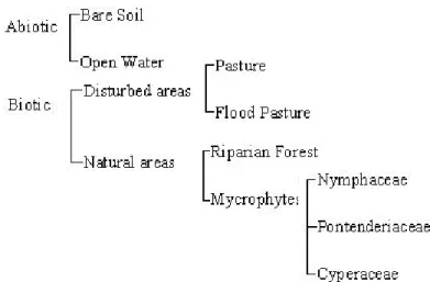 Figure 4. Classification key based on a hierarchical division of the environments     Table 1