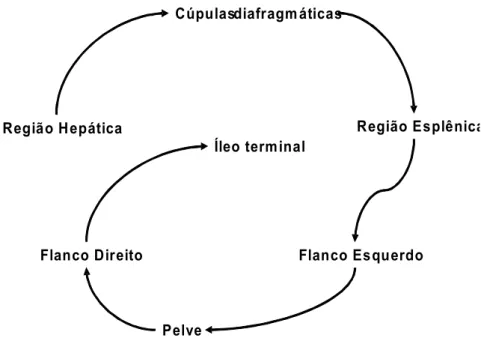 FIGURA 1 - Roteiro de exploração da cavidade abdominal.