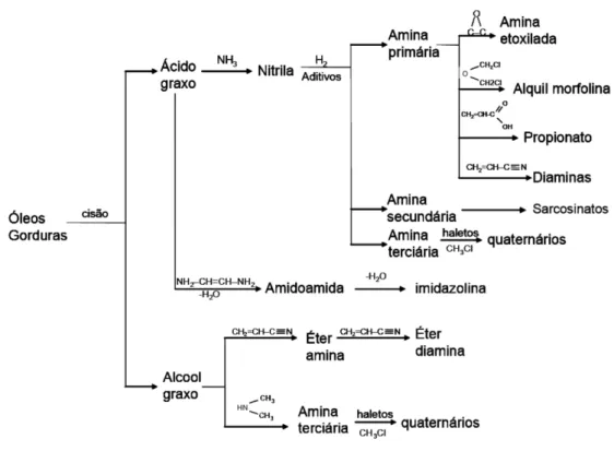 Figura 3.17 - Fluxograma com síntese das rotas de produção de aminas e seus derivados (NEDER &amp; LEAL 