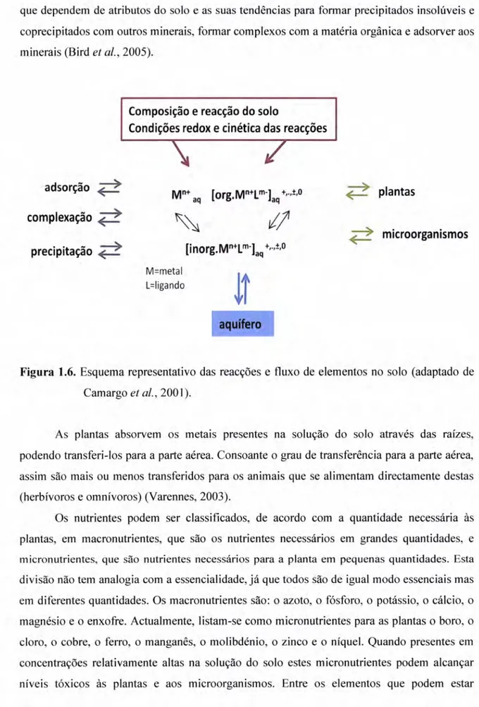 Figura  1.6. Esquema representativo  das  reacções  e  fluxo  de elementos no solo (adaptado  de Camargo  et  a1.,2001).