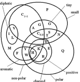 Figura  2:  Diagrama  de  Venn,  utilizado  pelo  programa  Clustalw  EBI  para  verificar  a  natureza  das 