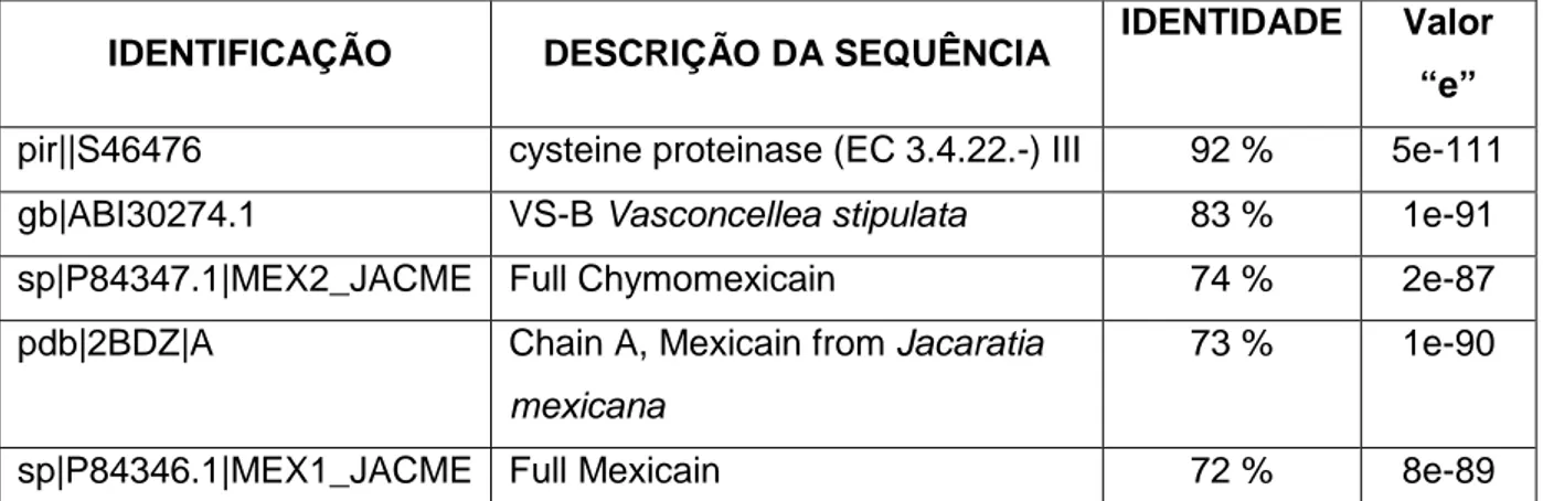Tabela  4:  Descrição  dos  cinco  maiores  “scores”  de  identidade  da  sequência  de  aminoácidos  de  E3 