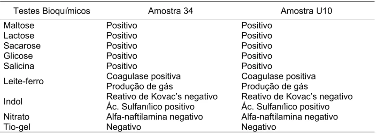 Tabela 1 - Testes bioquímicos das amostras 34 e U10 de Clostridium perfringens tipo D.