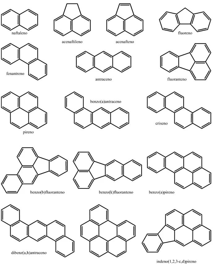Figura 1: Estrutura química dos 16 HAPs listados pela EPA como prioritários para monitoramento no 