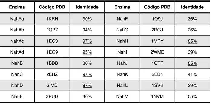 Tabela 1: Análise de identidade das proteínas da via superior e inferior de degradação do naftaleno 