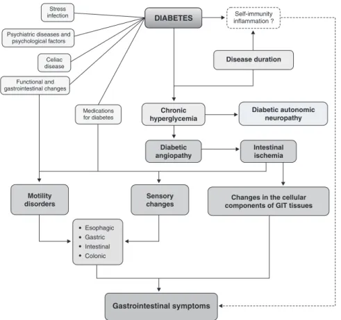 Figure 1 -  Physiopathological  mechanisms  of  gastrointestinal  symptoms  in  diabetes  mellitus 