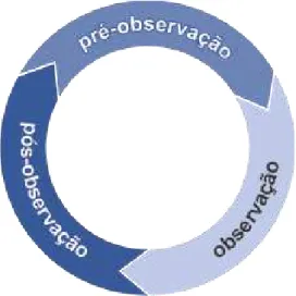 Fig. 7: processo de coaching instrucional 