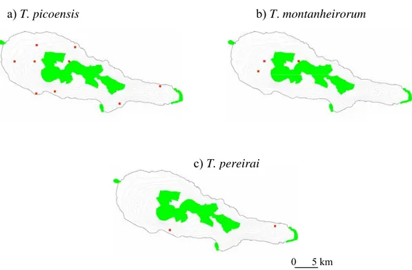 Figure 6. Distribution of Trechus species endemic to Pico island (red squares): a) T. 