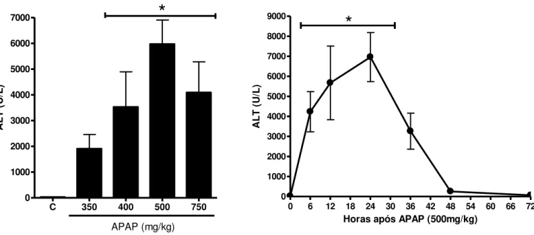 Gráfico  1  –  Aumento  dos  níveis  séricos  de  alanina  aminotransferase  (ALT)  induzido  por  sobredose  de  paracetamol (APAP) em curva dose-resposta (esquerda) e tempo-resposta (direita)