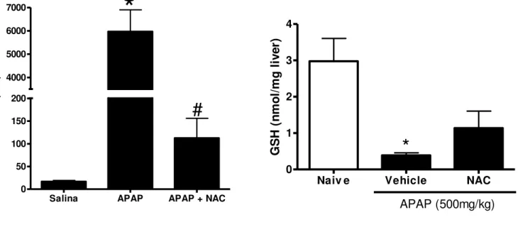 Gráfico  2  – O antídoto N-acetilcisteína (NAC) previne o aumento de ALT sérica e a depleção de glutationa  hepática (GSH) induzidos por APAP