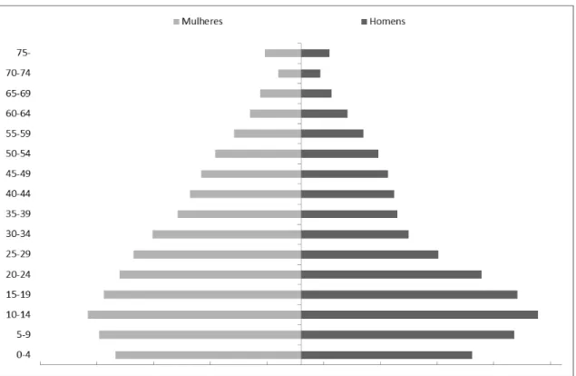 Gráfico  20  – Pirâmide etária dos livres, microrregião central, freguesia de Guarapiranga,  1831-32