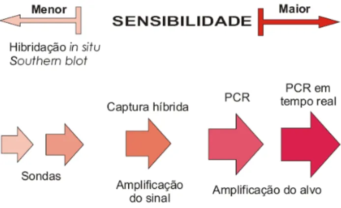 Figura  8:  Testes  moleculares  e  grau  de  sensibilidade.  Fonte:  HUBBARD  et  al,  2003