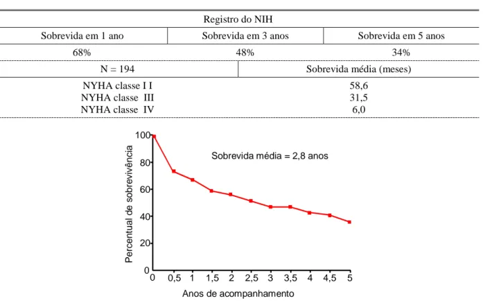 FIGURA 1 – Expectativa de vida dos pacientes com HAPI de acordo com a classe funcional  Fonte: D’ALONZO et al., 1991 10 