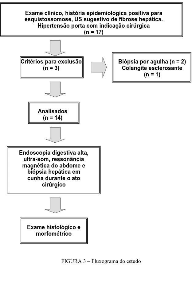 FIGURA 3 – Fluxograma do estudo  