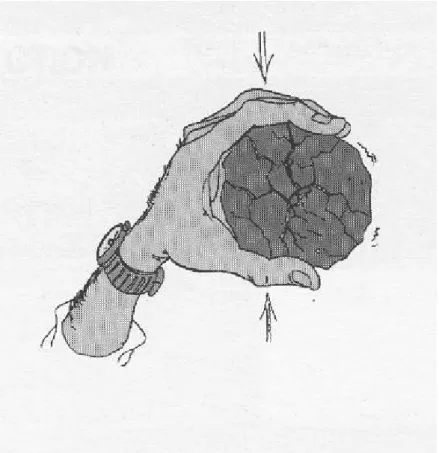 Figura 3.2 – O processo de compressão (Fonte: Metso Minerals, 2002) 