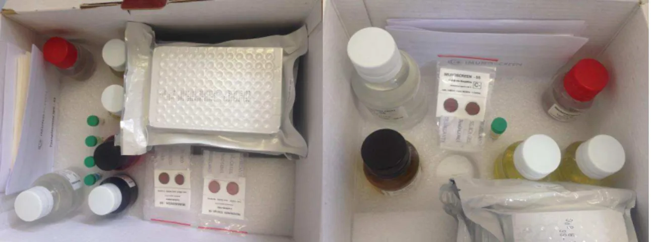 Figura  2: Kits  Imunoscreen Toxoplasmose  –SS IgG e IgM, respectivamente, contendo placas de poliestireno  descartáveis, controles e reagentes para a reação ELISA de captura em sangue seco
