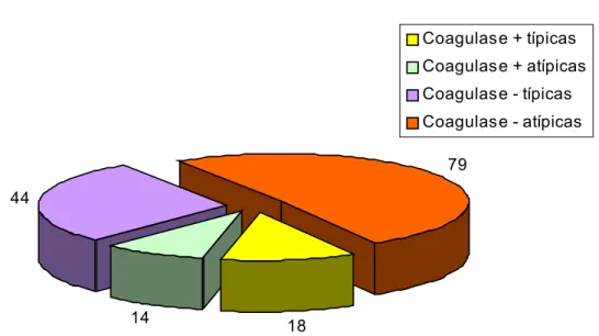 Gráfico 2. Resultado do teste de coagulase de 155 colônias típicas e atípicas de Staphylococcus spp