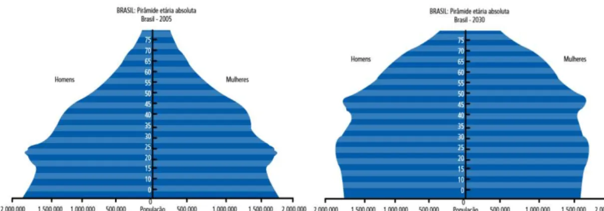 Gráfico 1: Pirâmides etárias da população brasileira, anos 2005 e 2030  Fonte: MENDES, 2012 