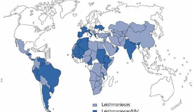 Figura 1.4: Distribuição global dos países que reportaram casos de  leishmanioses e de sua co-infecção com HIV [8]