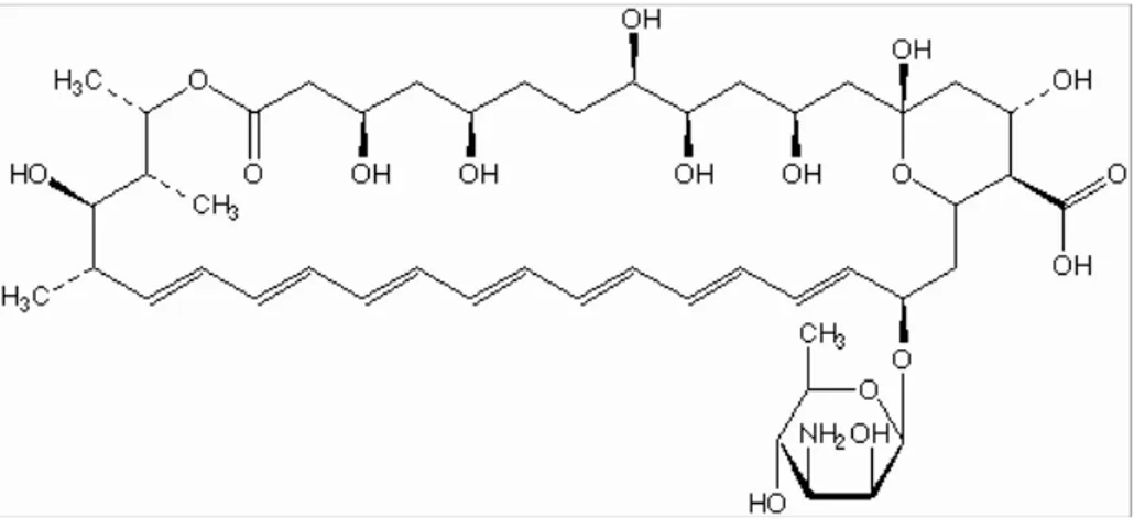 Figura 1.7: Estrutura química da anfotericina B. 