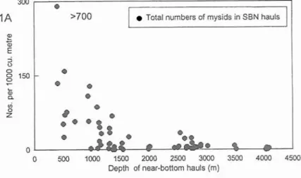 Fig.  1. Abundance of  mysids per  1000  m3 in  a total of  65  suprabenthic net  (SBN)  hauls (&gt;400  m  water  depth)  taken  at  60-120 m  above the  sea-floor in  the  Porcupine  Seabight