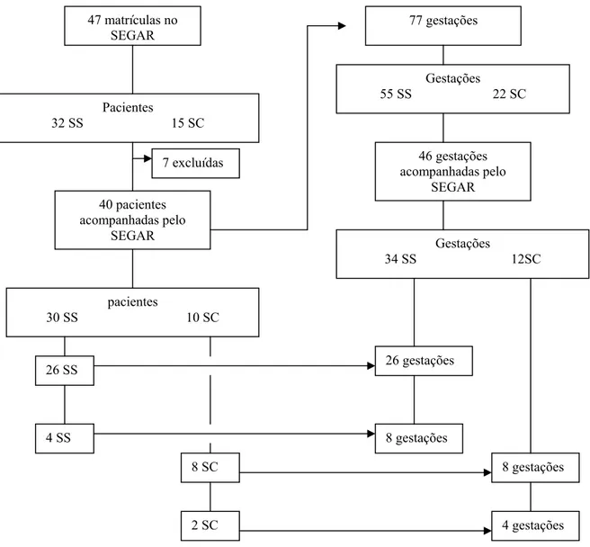 FIGURA 2 - Representação esquemática das pacientes portadoras de hemoglobinopatia                         SS e SC e de suas respectivas gestações