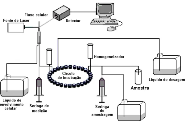 Figura 8. Esquema representativo de citometria de fluxo aplicado na contagem bacteriana em leite cru