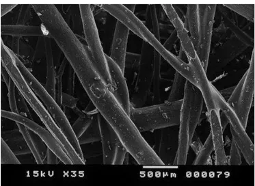 Figura 2.5: Fotomicrografia da fibra de coco obtida através da microscopia eletrônica 