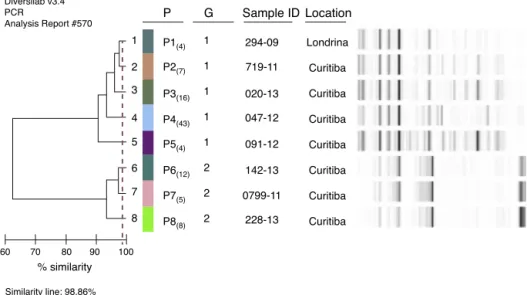 Figure 2 B. pertussis groups and patterns identified in the state of Paraná between 2007-2013.