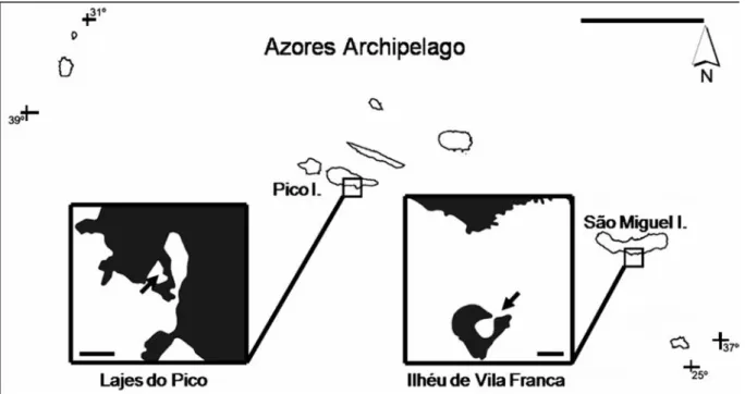 Figure 1. The Azores archipelago (scale bar: 100 km) and location of the study sites (scale bar: 150 m).