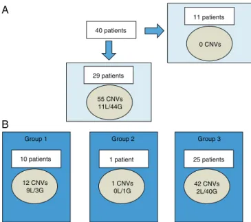 Figure 1 Characterization of CNVs larger than 400 Kb in Chilean cohort.