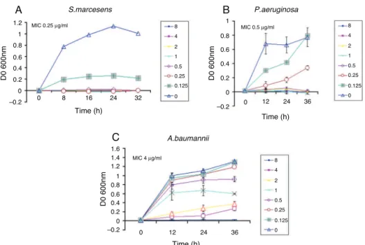 Figure 2 Effect of human beta defensin-2 on bacterial growth. Optical density at different times of growth in Luria-Bertani medium was followed for three strains, (A) S.marcesens, (B) P
