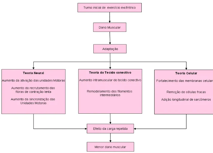 FIGURA 3. Potenciais mecanismos que podem explicar o efeito da carga repetida.   (FONTE: Adaptado de MCHUGH  ., 1999: p.168).