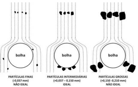 Figura 3.19 - Diagrama esquemático das probabilidades de trajetória de  diferentes tamanhos de partículas de quartzo na flotação