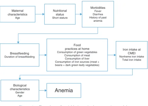 Figure 1 Flow chart of variable input in the regression model.