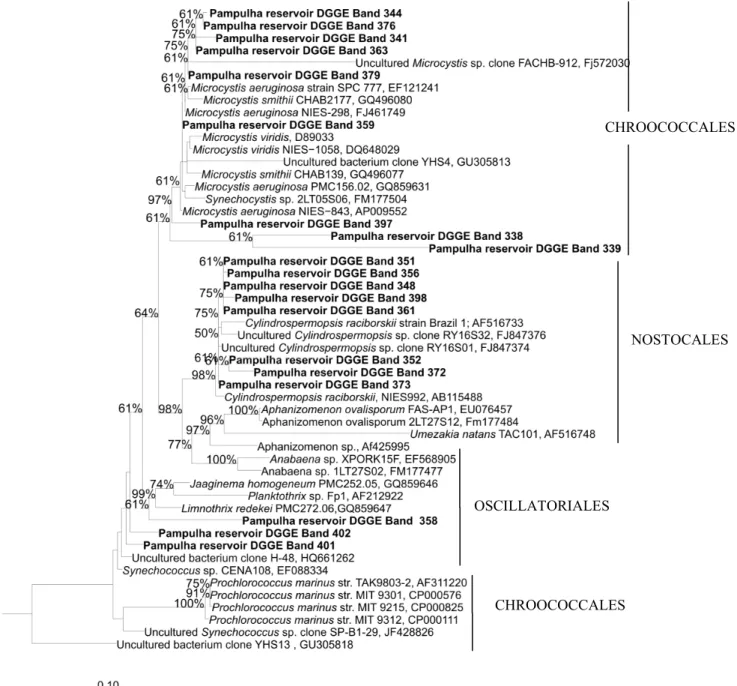 Fig.  3  – Phylogenetic  tree  of  gene  16S  rRNA  obtained  from  20  bands  extracted  from  the  DGGE  gel  in  Fig