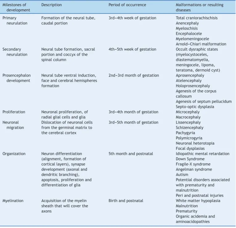 Table 1 Milestones of central nervous system development.