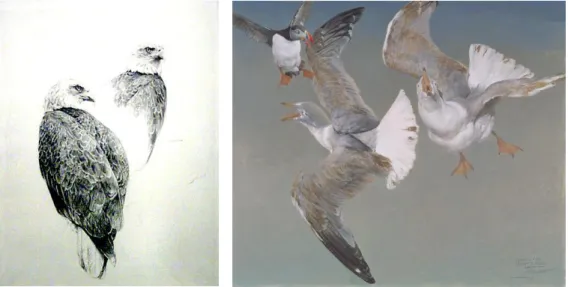 Figura 12 - Bald Eagle, grafite 1981 e Puffin and Young Herring Gulls, óleo 2003, Raymond Harris-Ching 23 