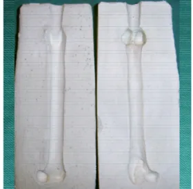 FIGURA  2:  Fotografia  do  molde  de  gesso  utilizado 