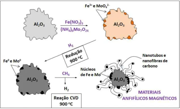 Figura 3-16  – Esquema de produção dos materiais anfifílicos de nanoalumina. 